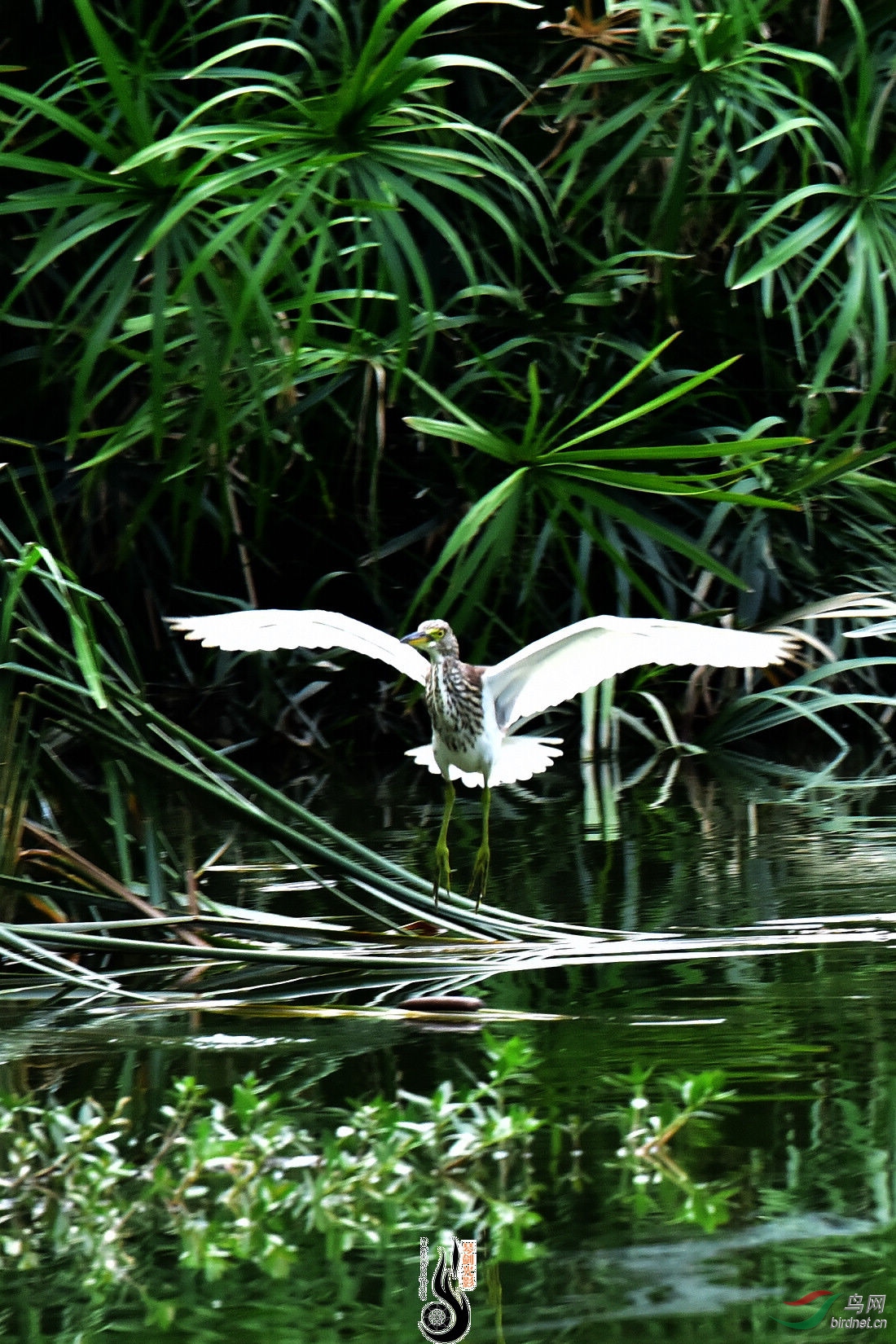 DSC_8262.JPG