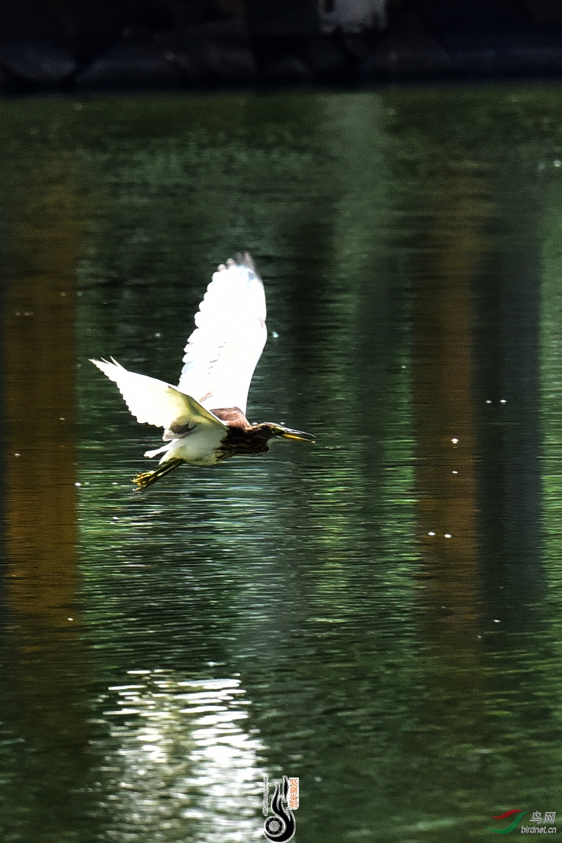DSC_8282.JPG