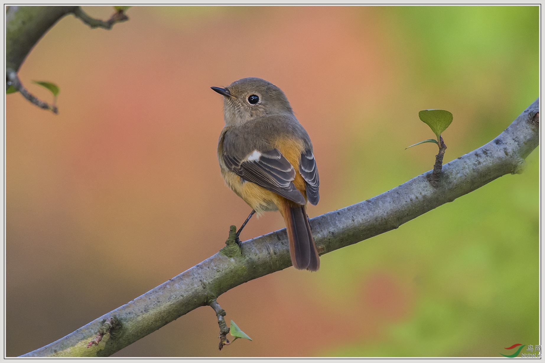 �в���5��