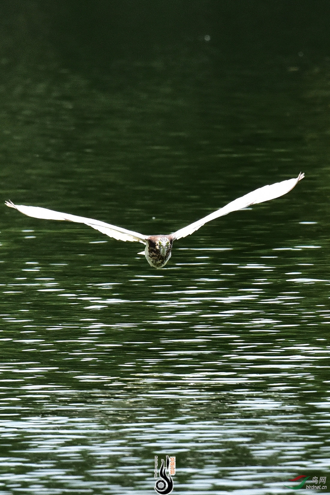 DSC_8296.JPG