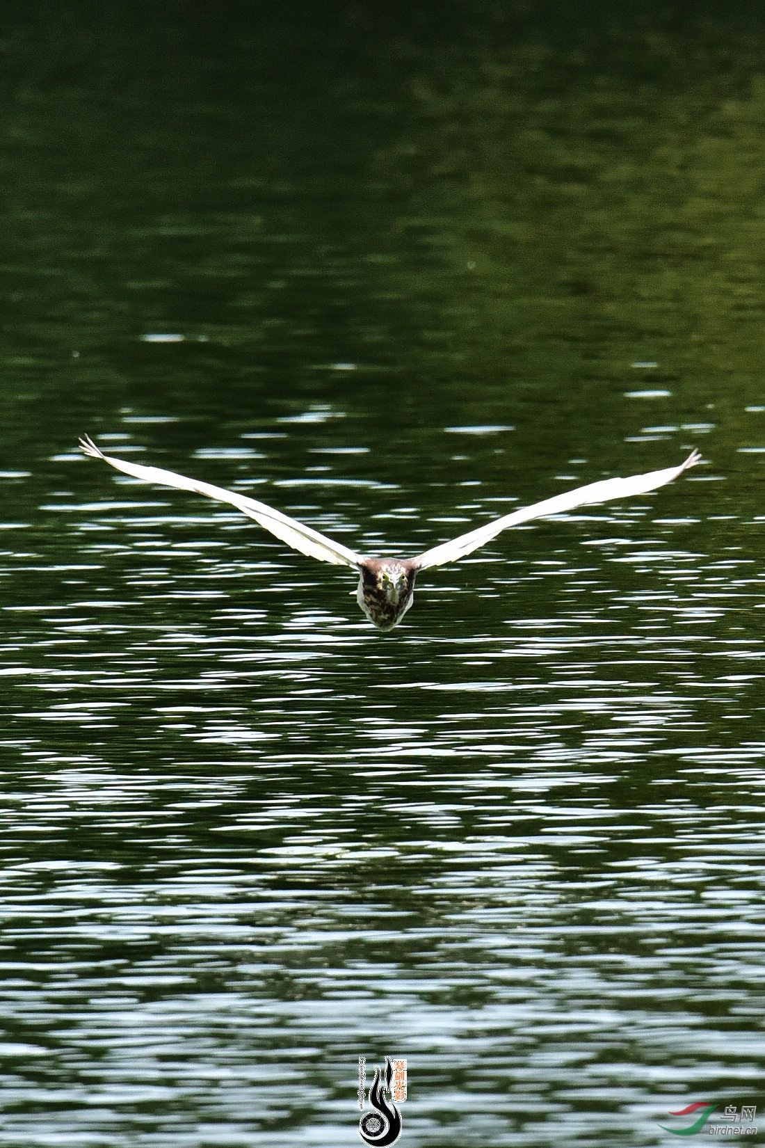 DSC_8298.JPG
