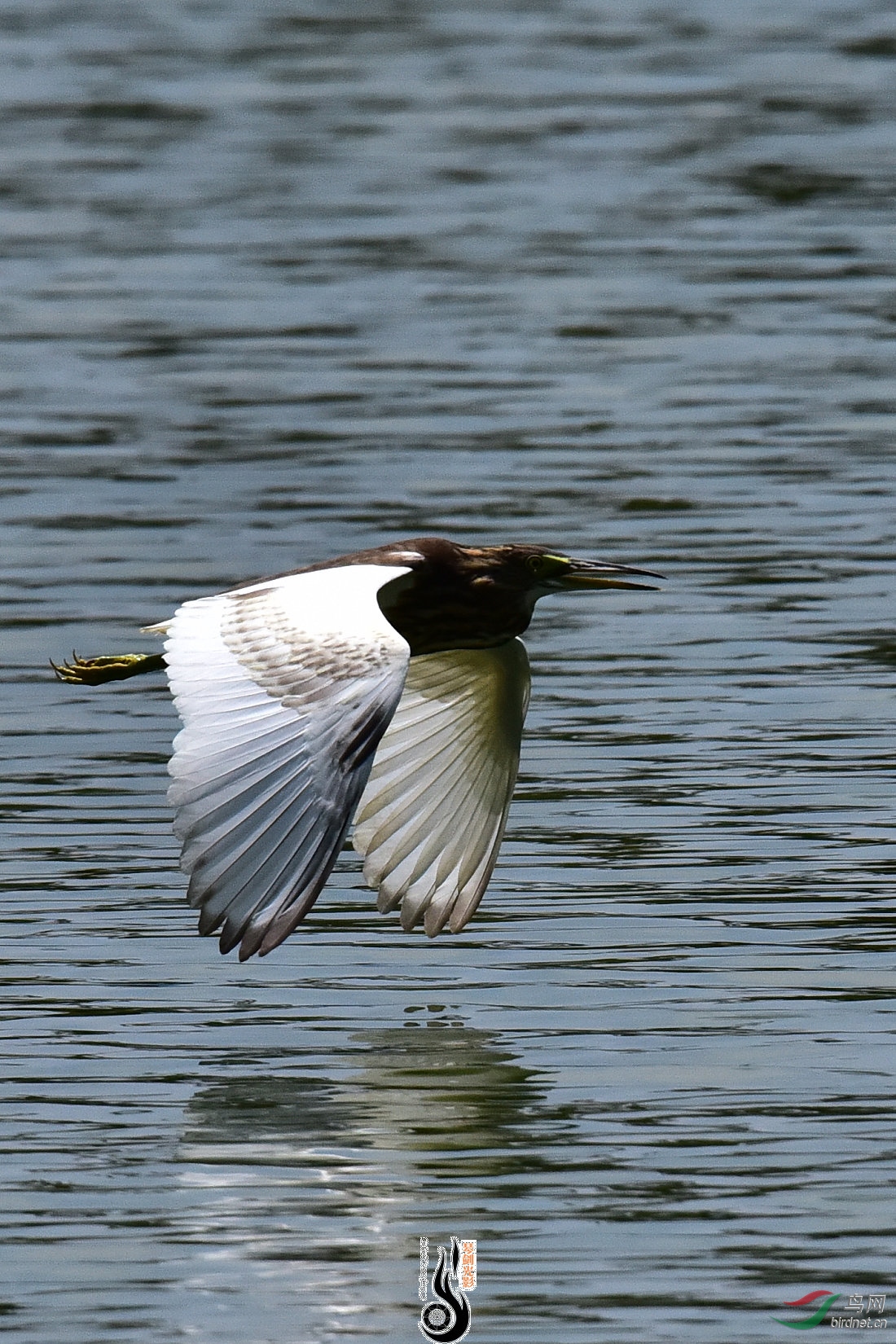 DSC_8305.JPG