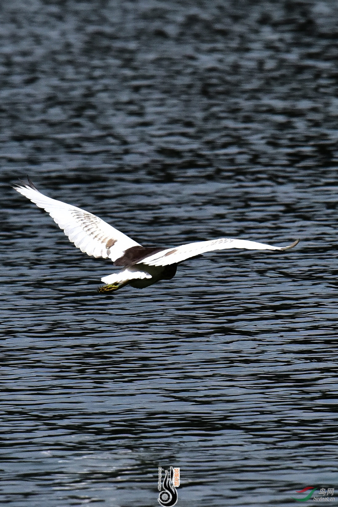 DSC_8309.JPG