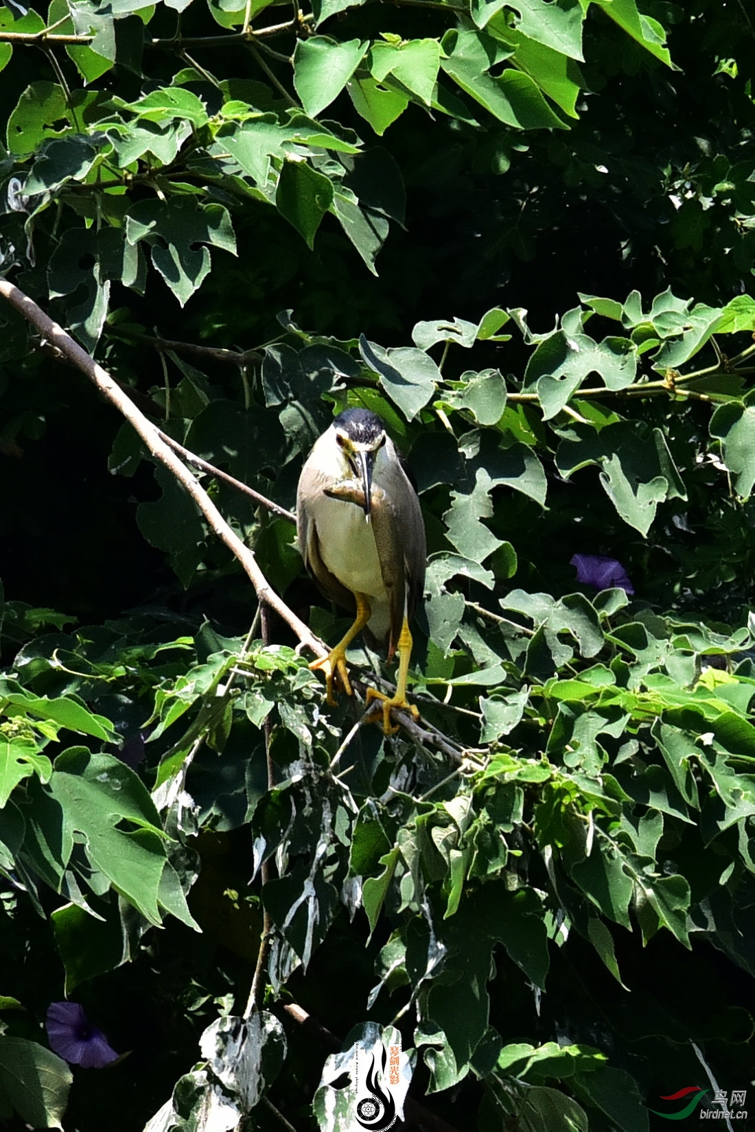 DSC_8330.JPG