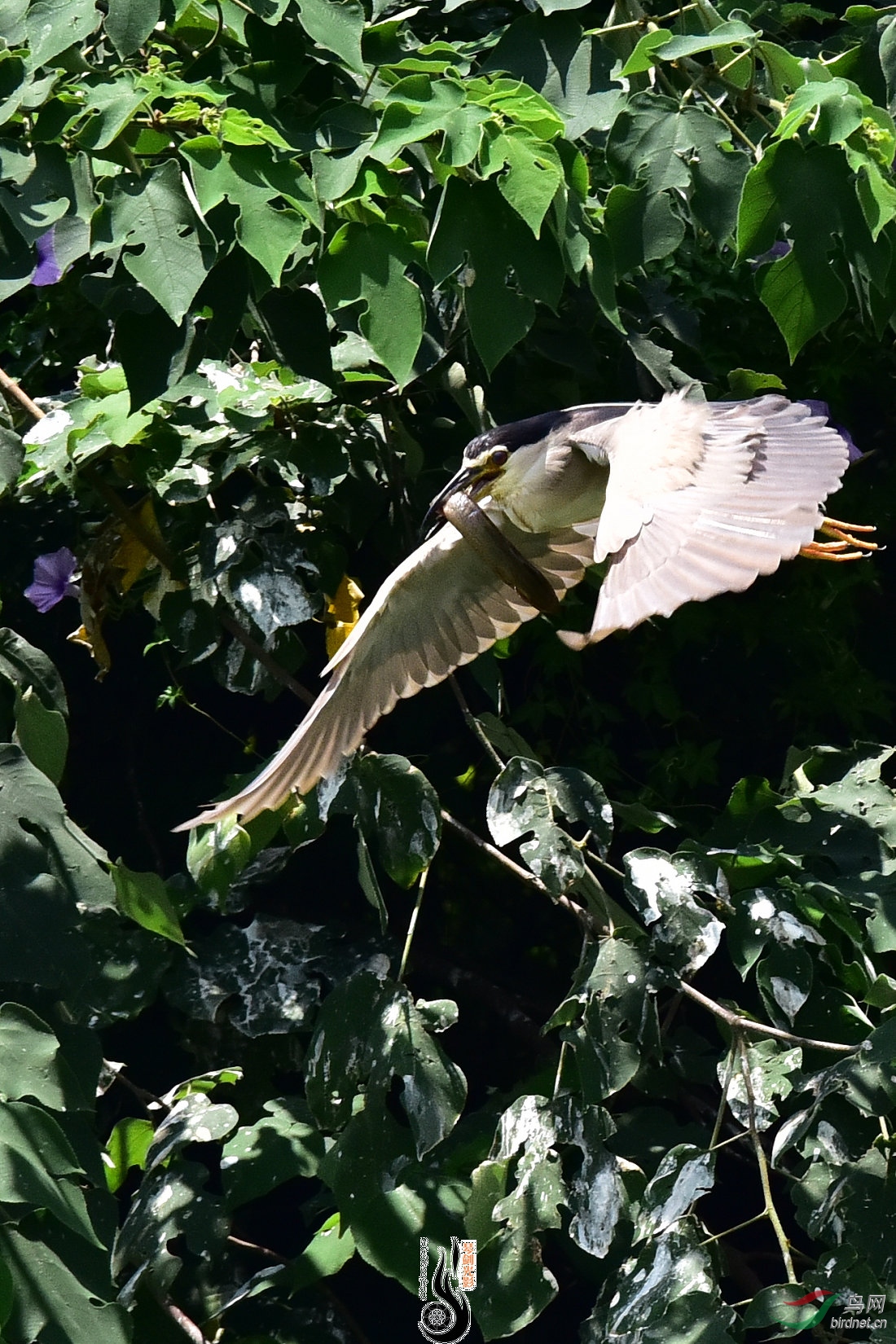 DSC_8347.JPG