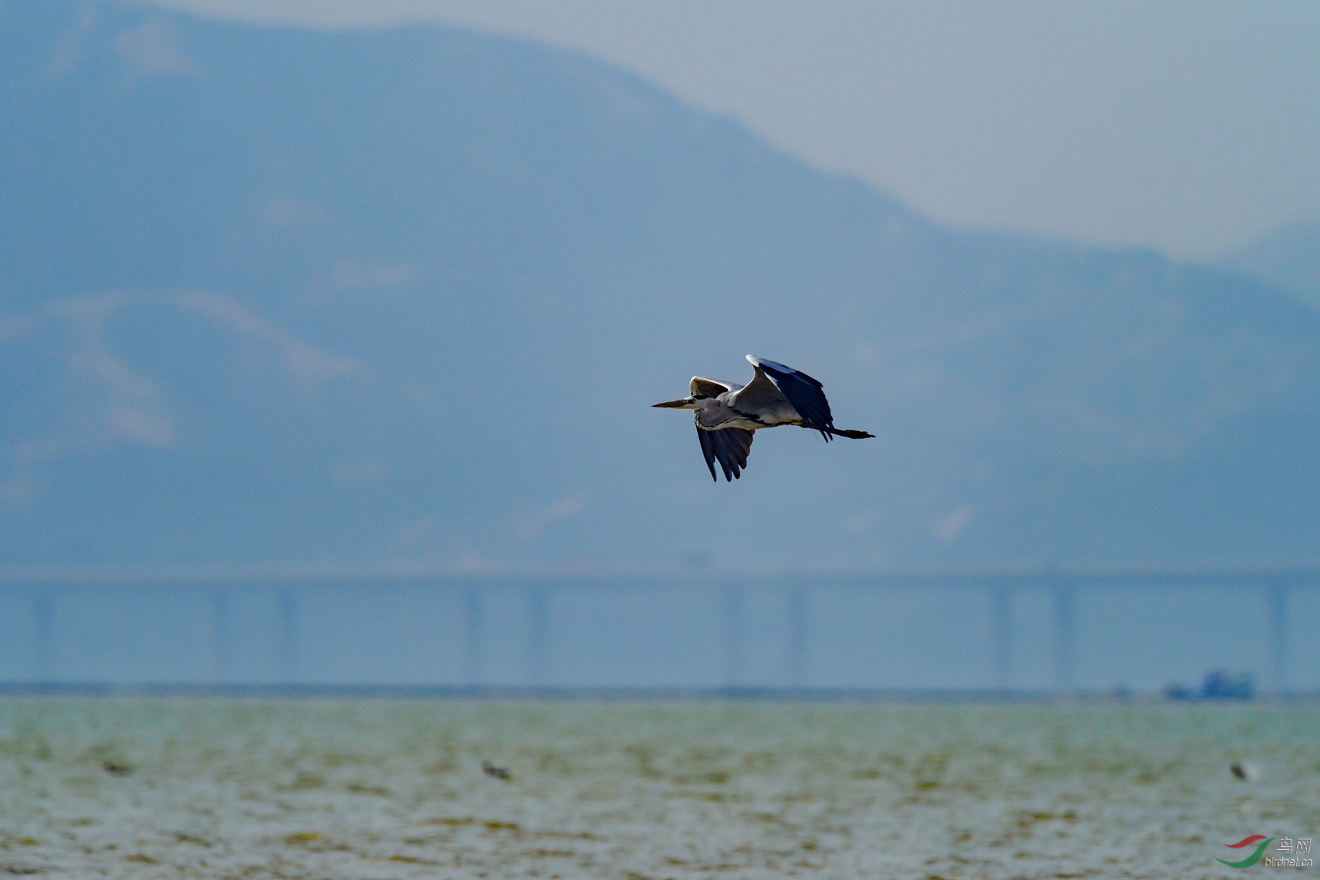 PB169817-ac.jpg