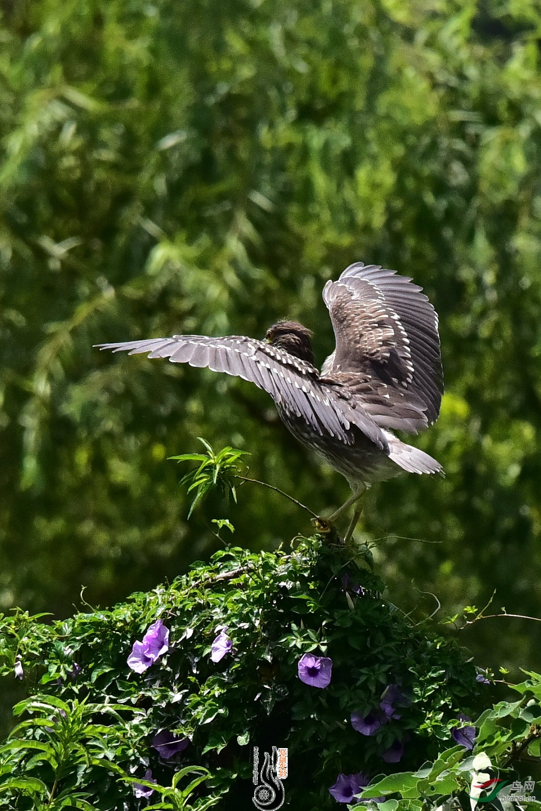 DSC_8360.JPG