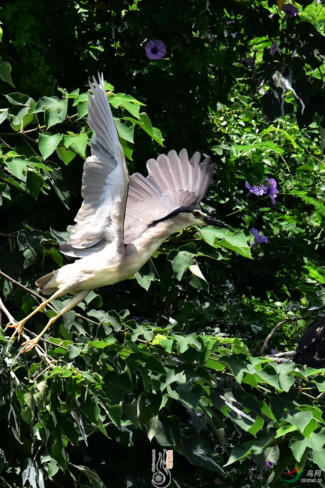 DSC_8408.JPG
