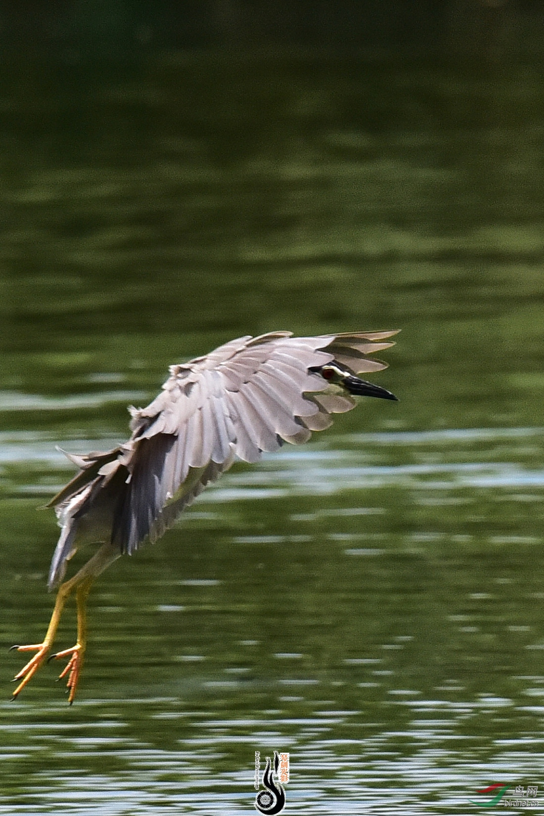 DSC_8415.JPG