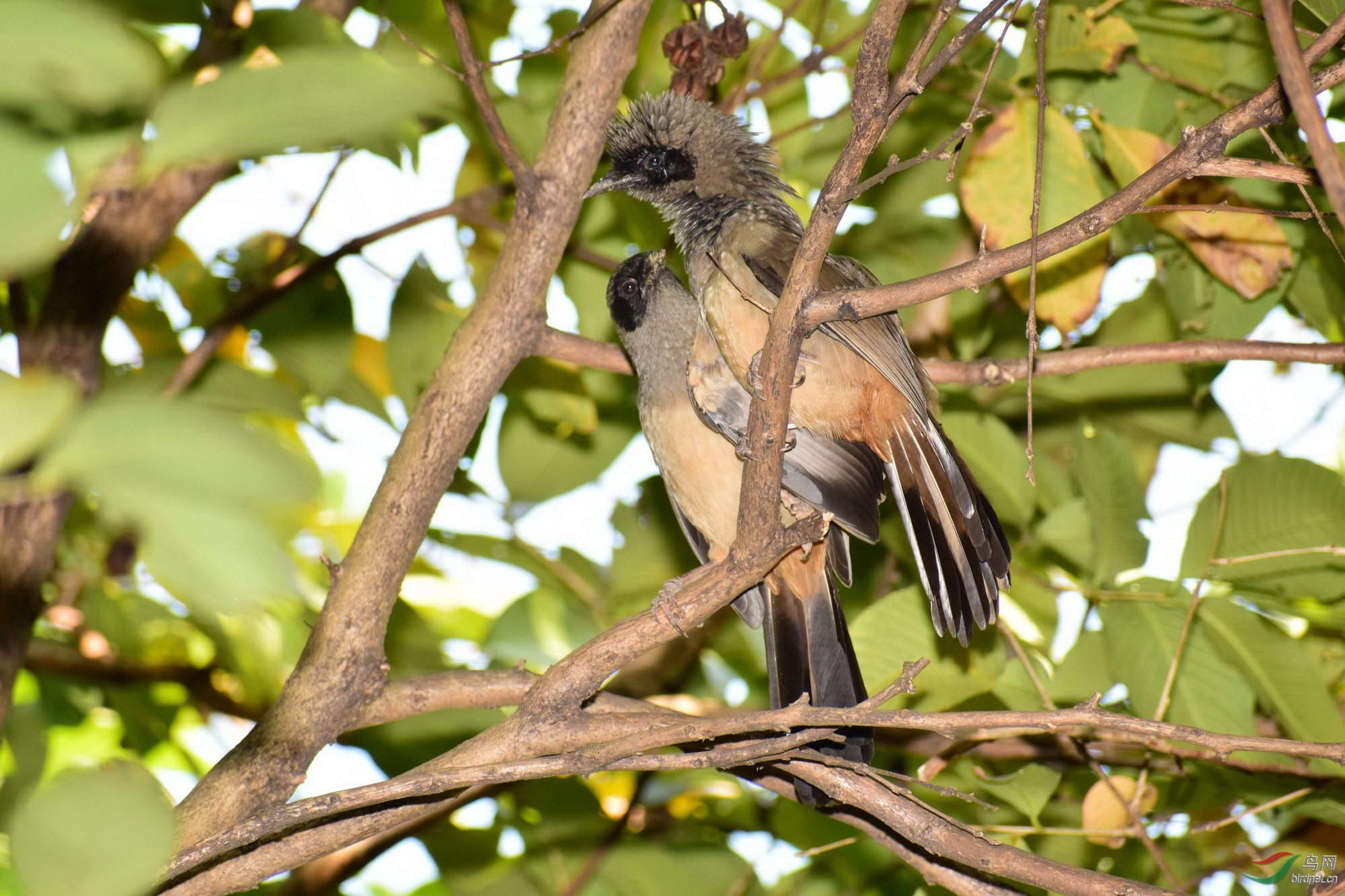 DSC_3006.JPG