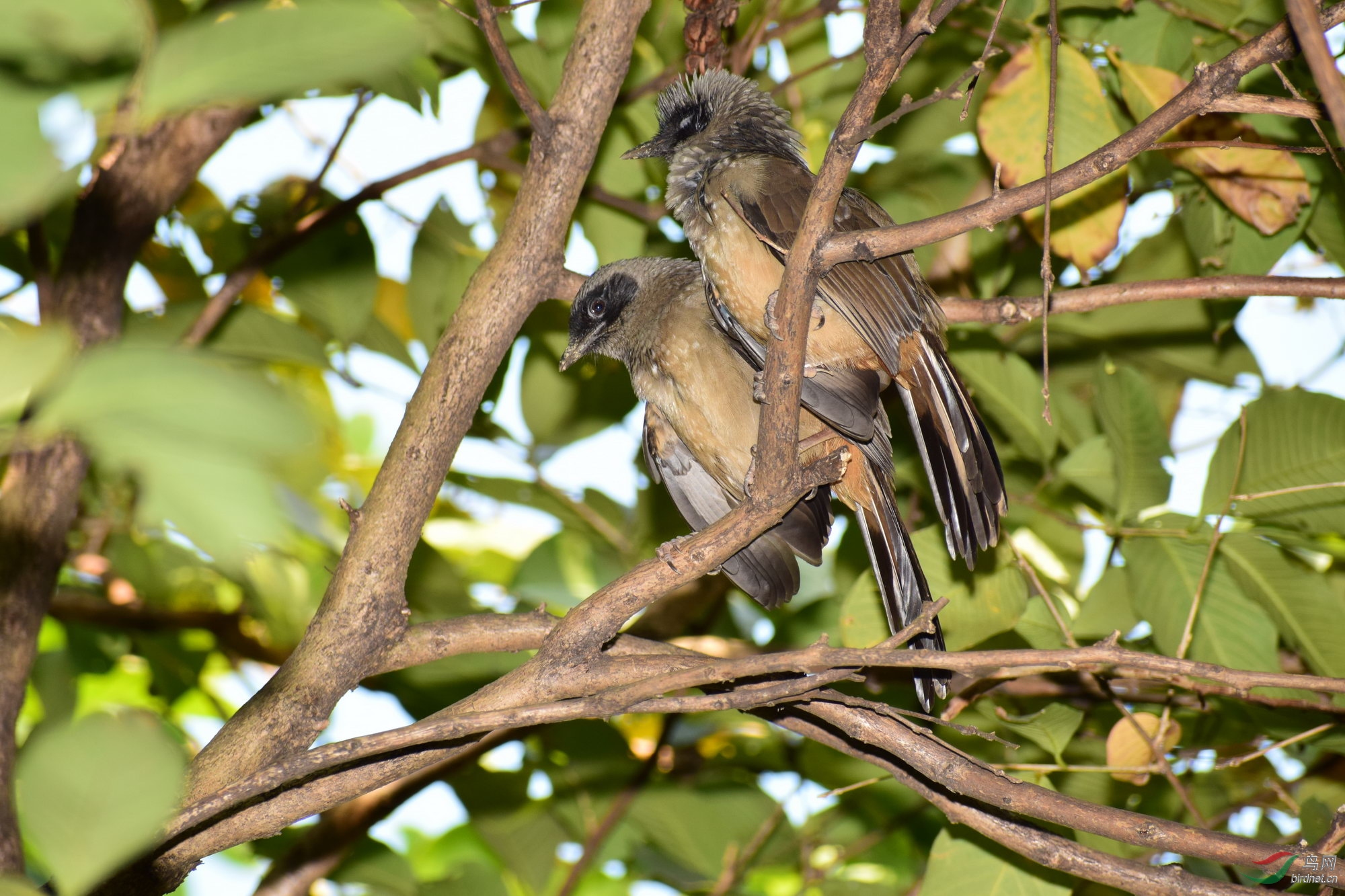 DSC_3007.JPG