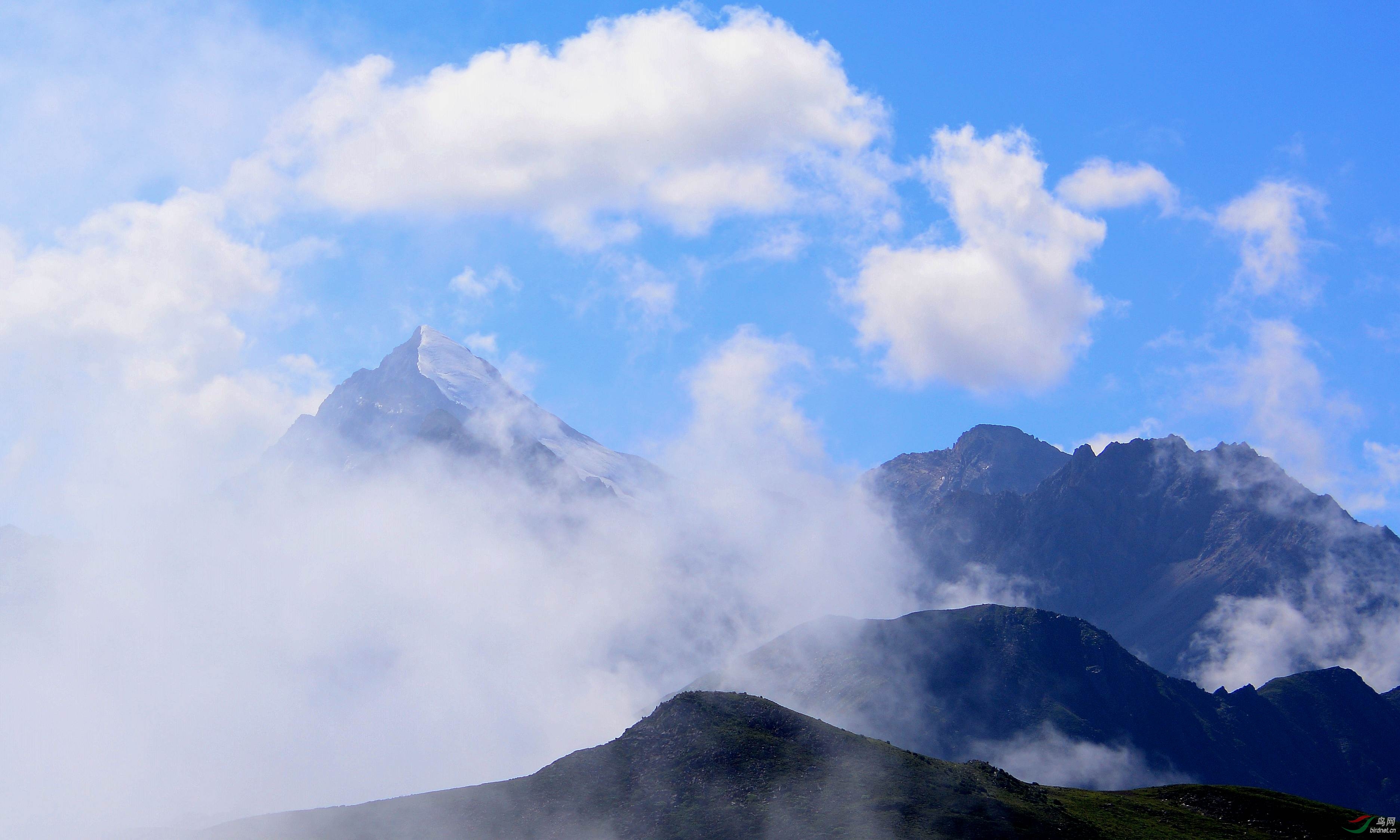 云环雾绕雪宝顶