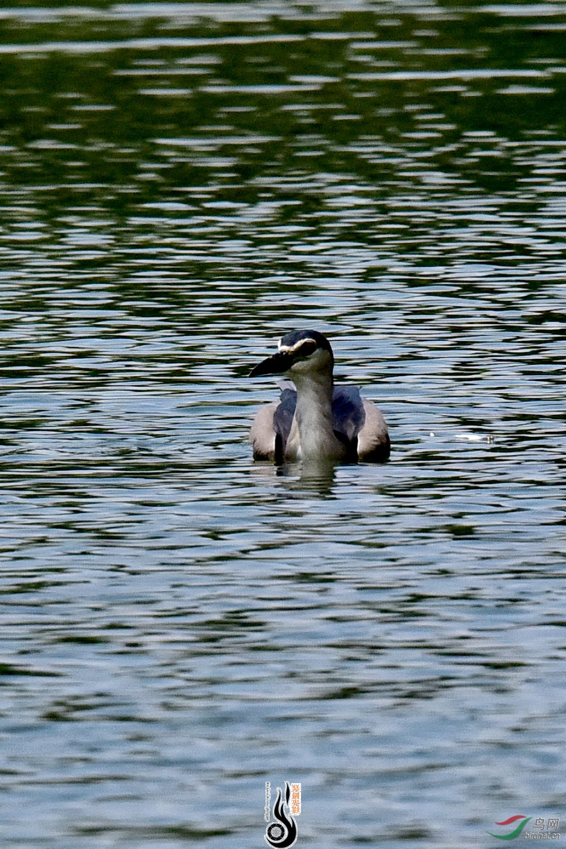 DSC_8428.JPG