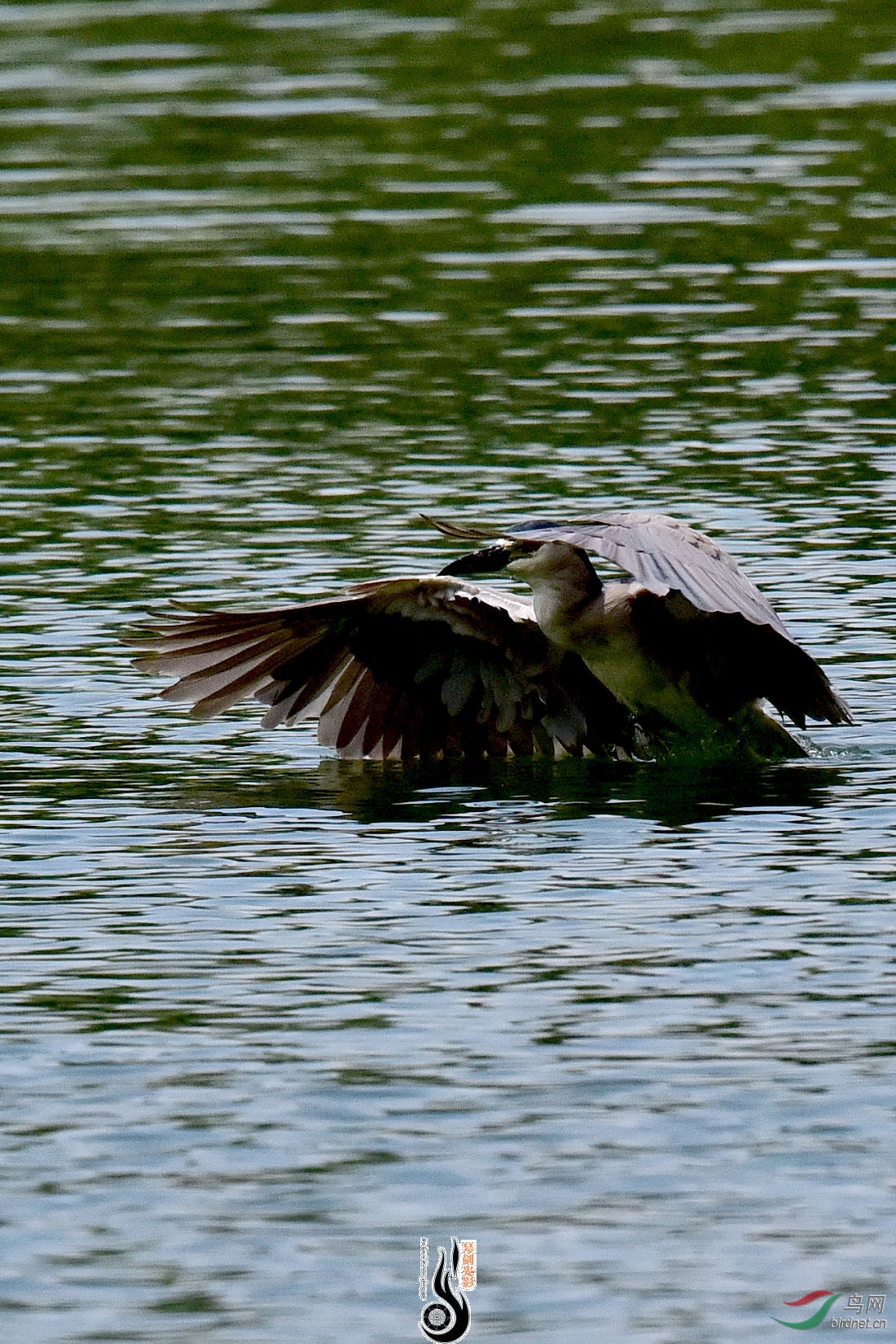 DSC_8430.JPG