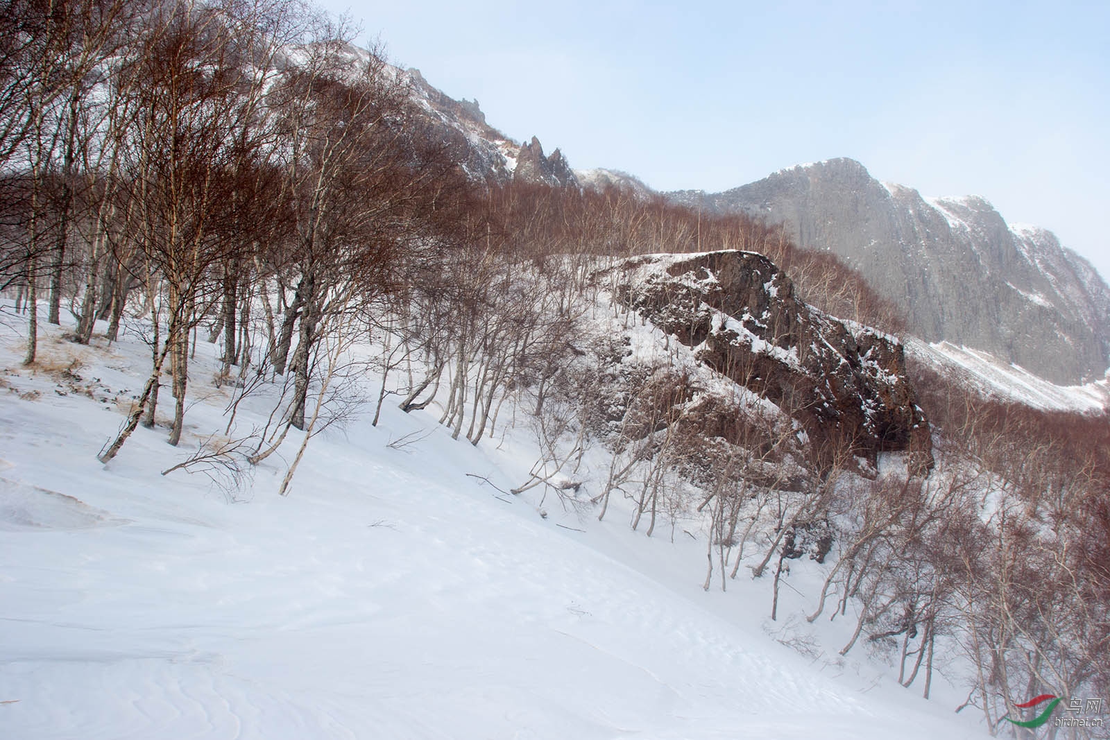 冬日长白山