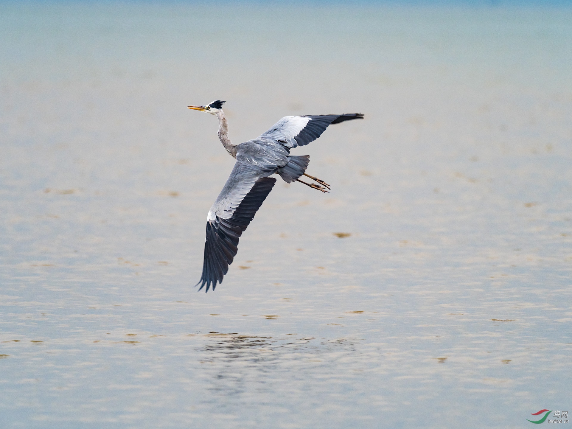 PB172470-a.jpg