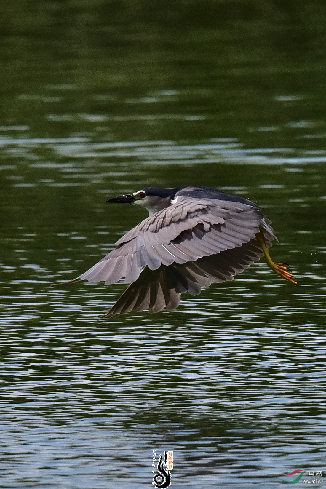 DSC_8434.JPG