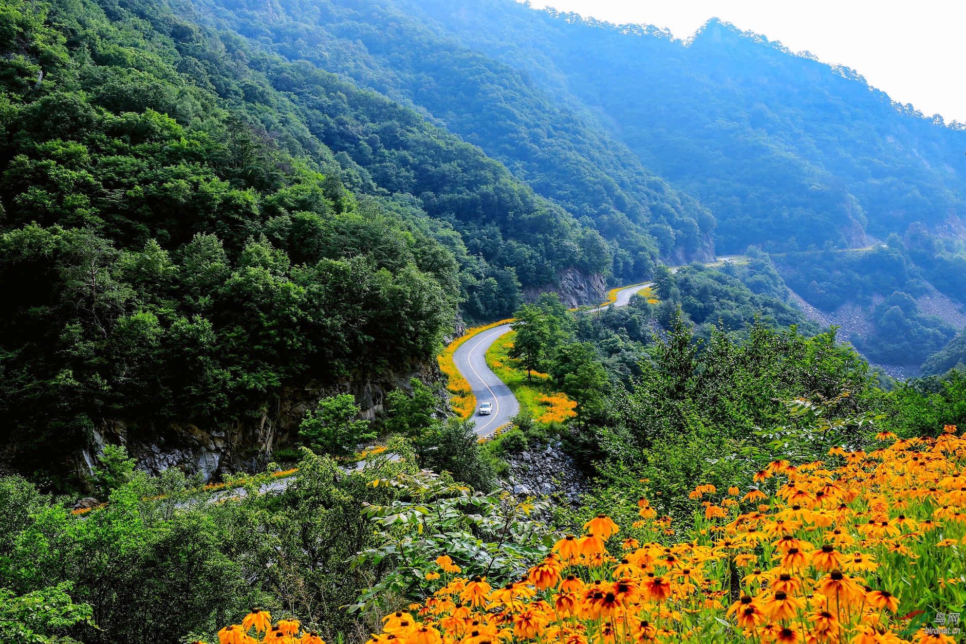 镶花边的蜿蜒山路