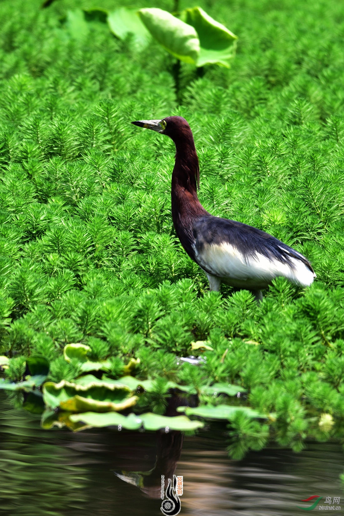 DSC_8824.JPG