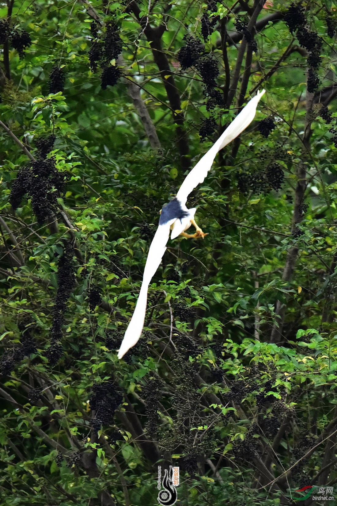 DSC_9307.JPG