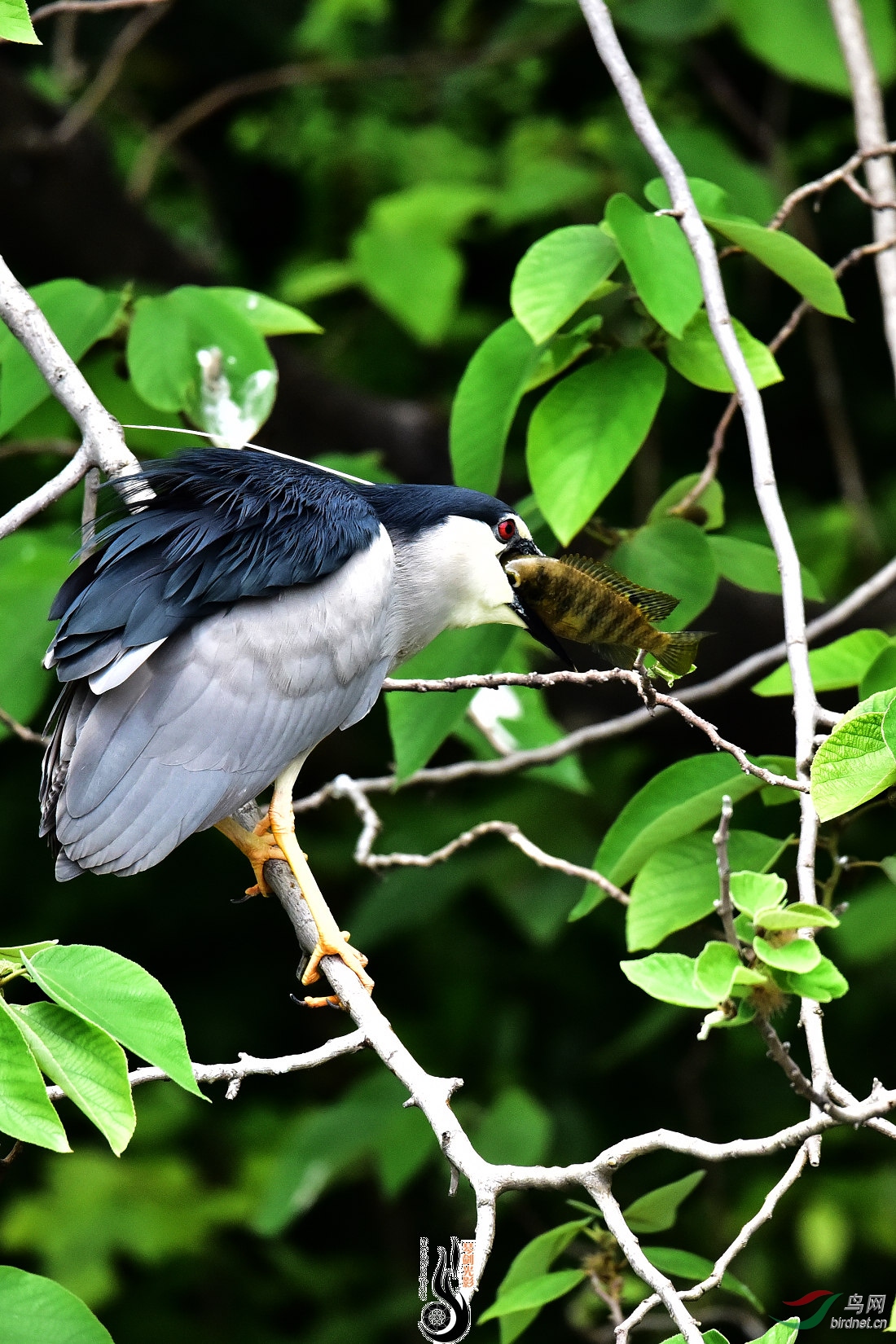 DSC_9326.JPG