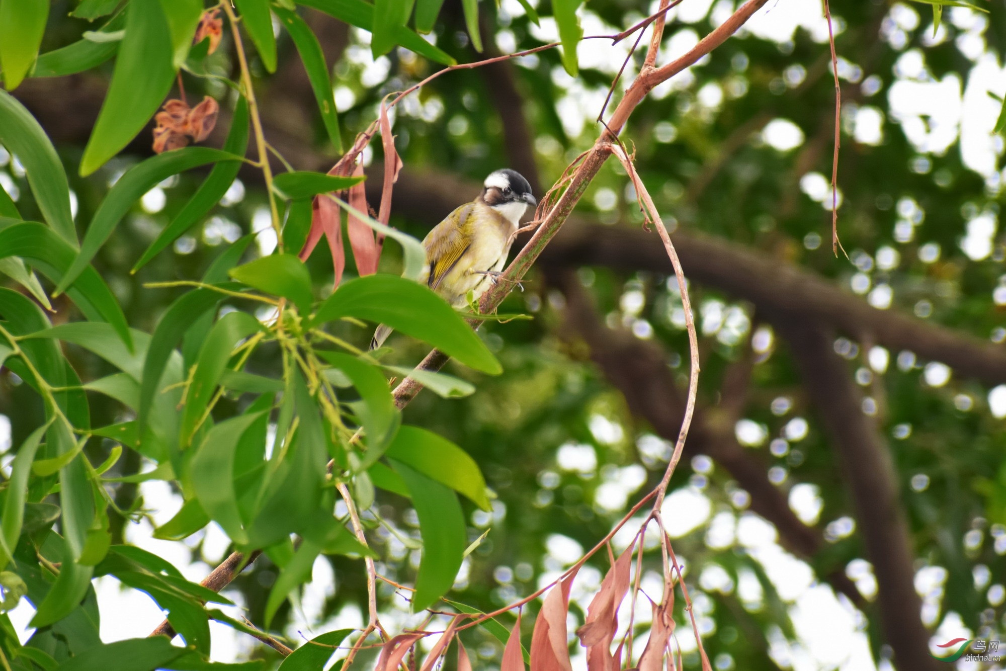 DSC_3102.JPG