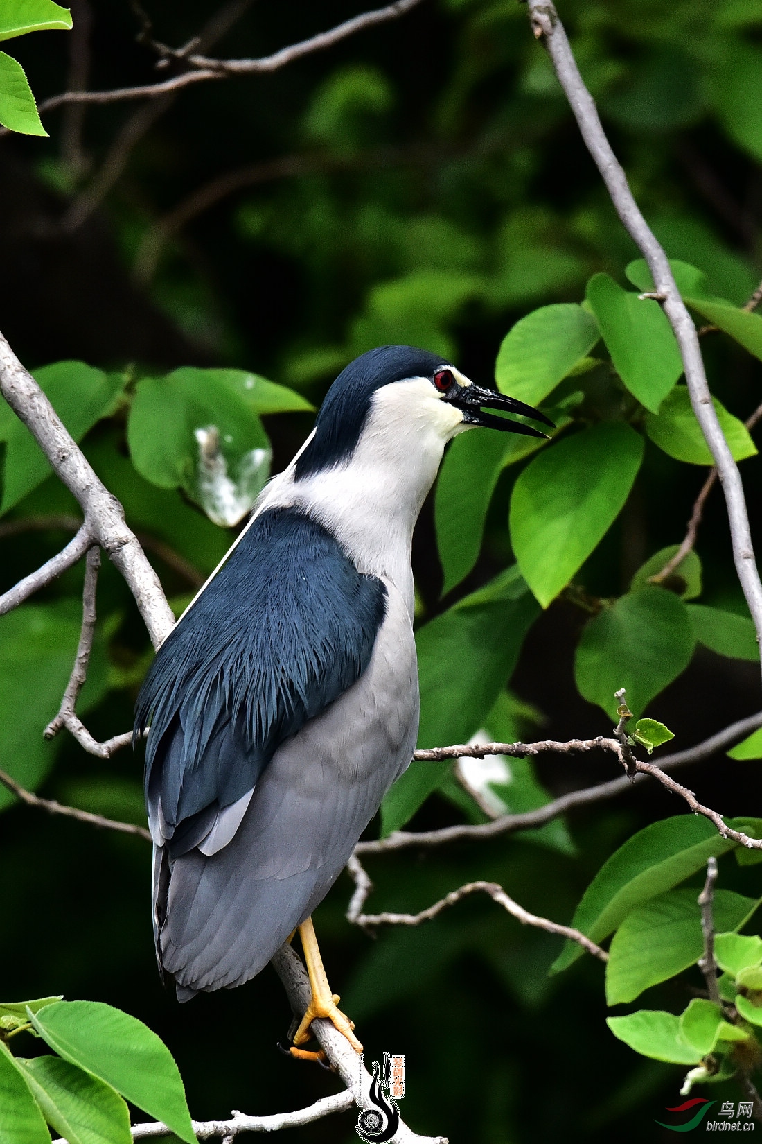 DSC_9343.JPG