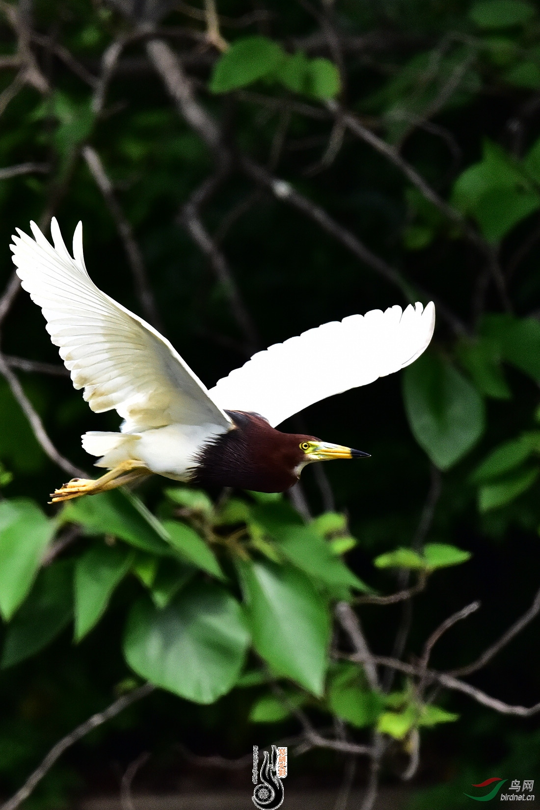 DSC_9359.JPG
