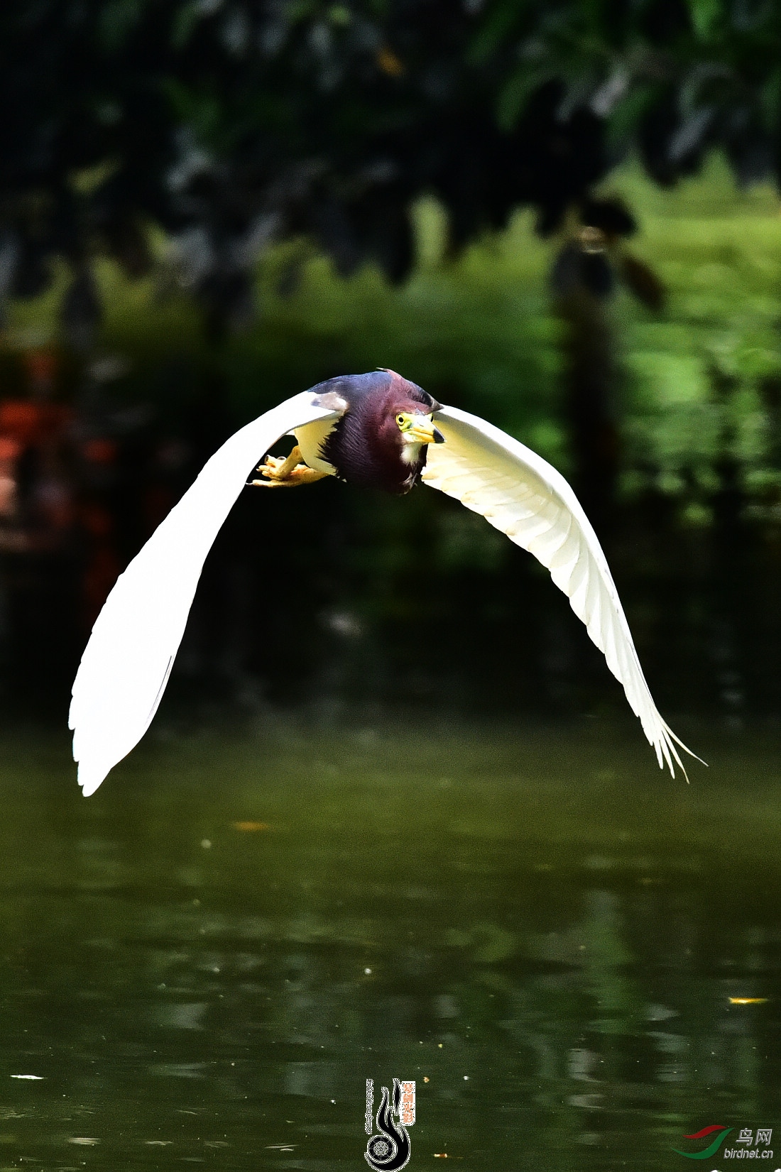 DSC_9399.JPG