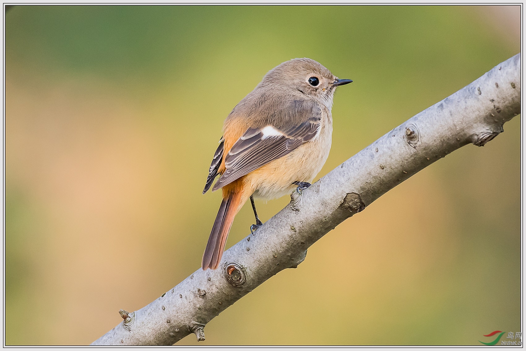 6�״������