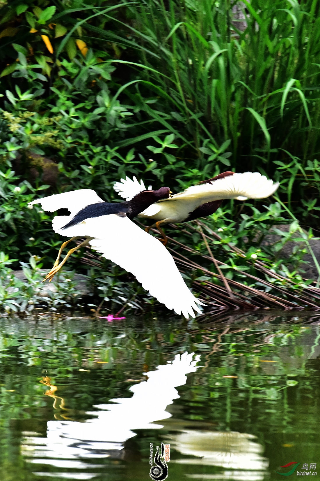DSC_9432.JPG