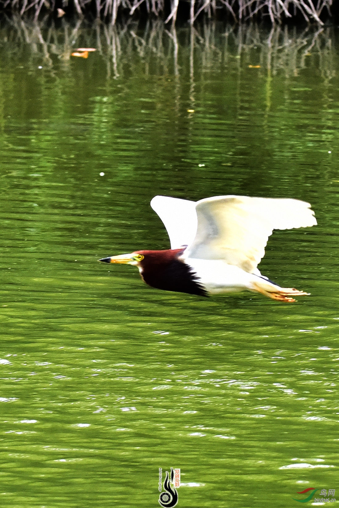 DSC_9446.JPG
