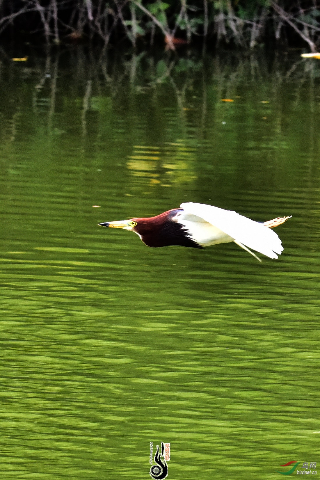 DSC_9447.JPG