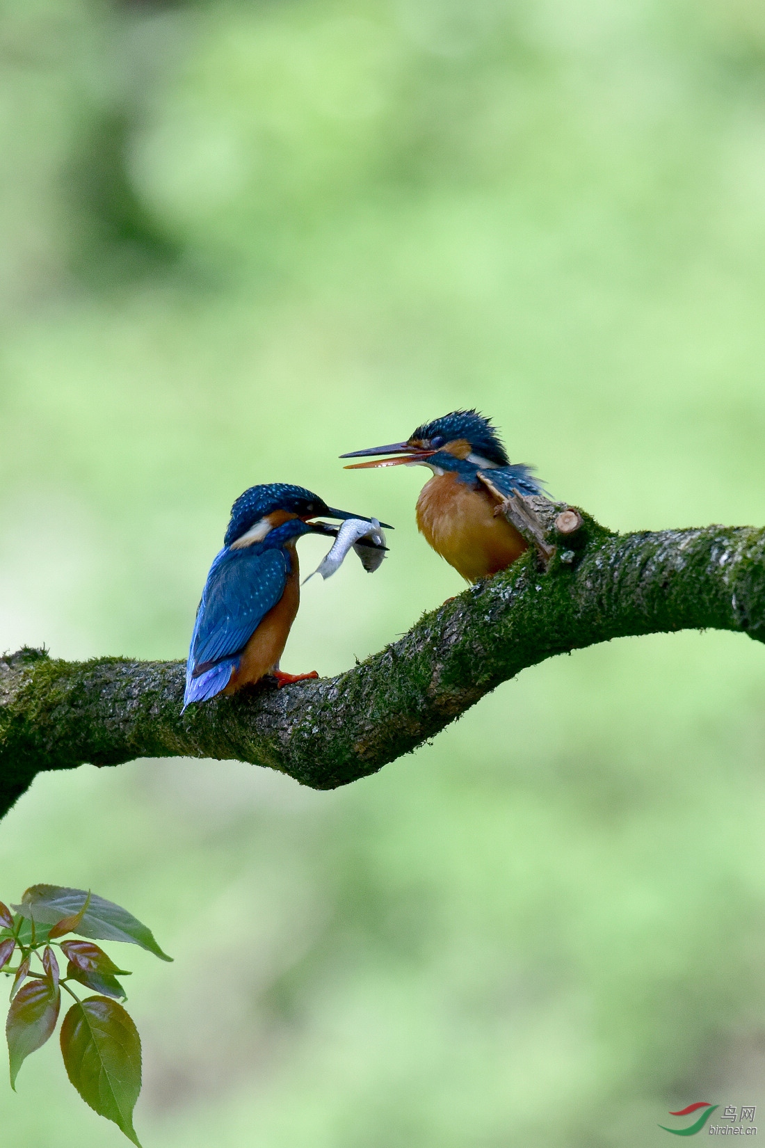 DSC_0003.JPG