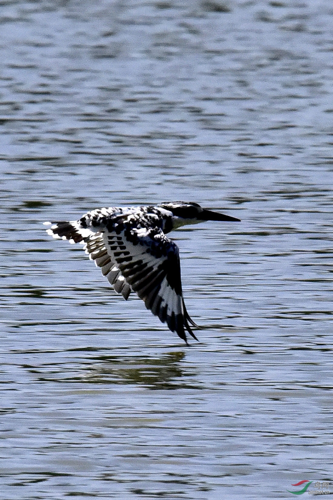 DSC_0034.JPG