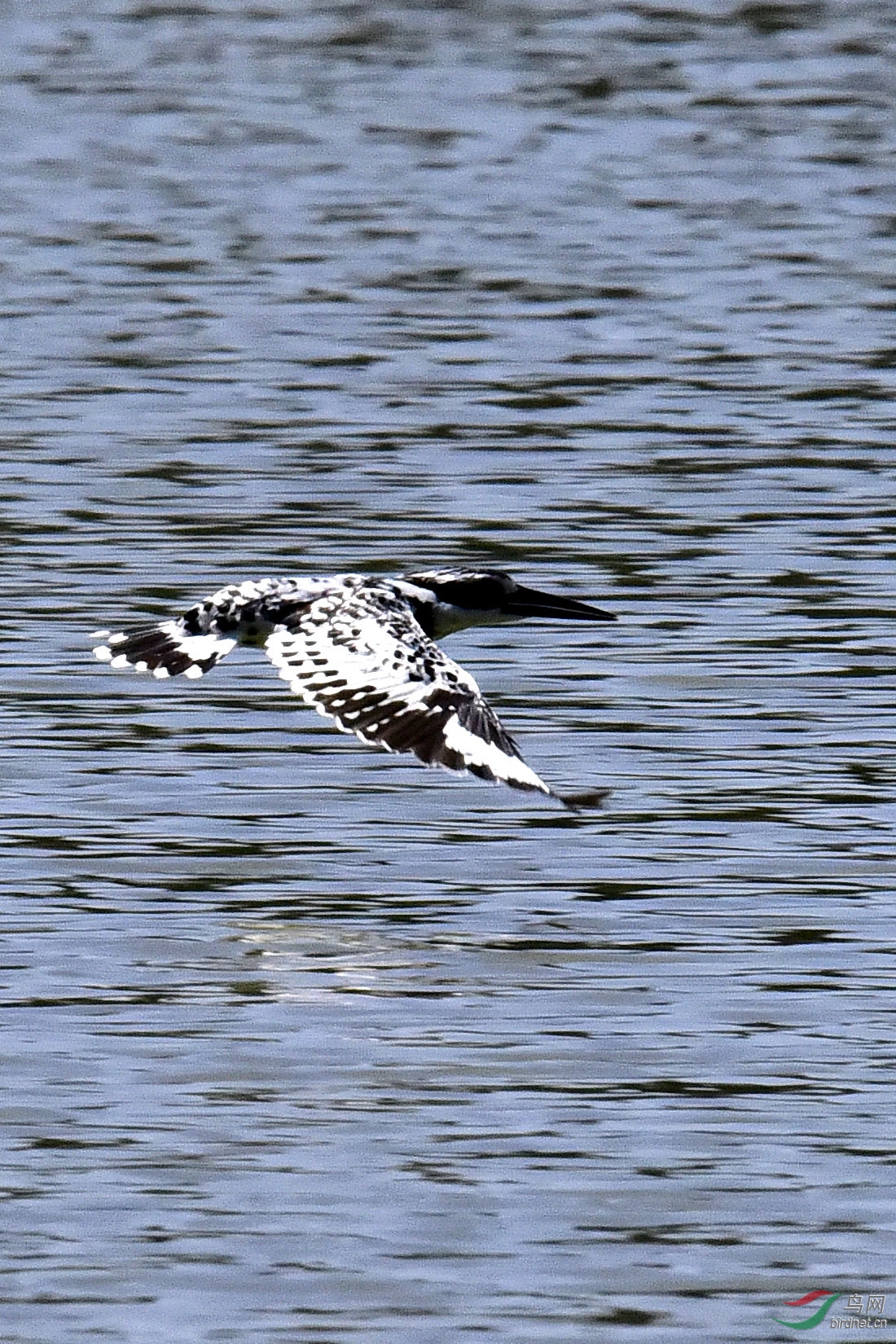 DSC_0035.JPG