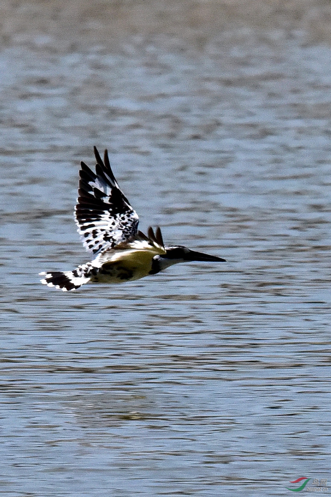 DSC_0039.JPG