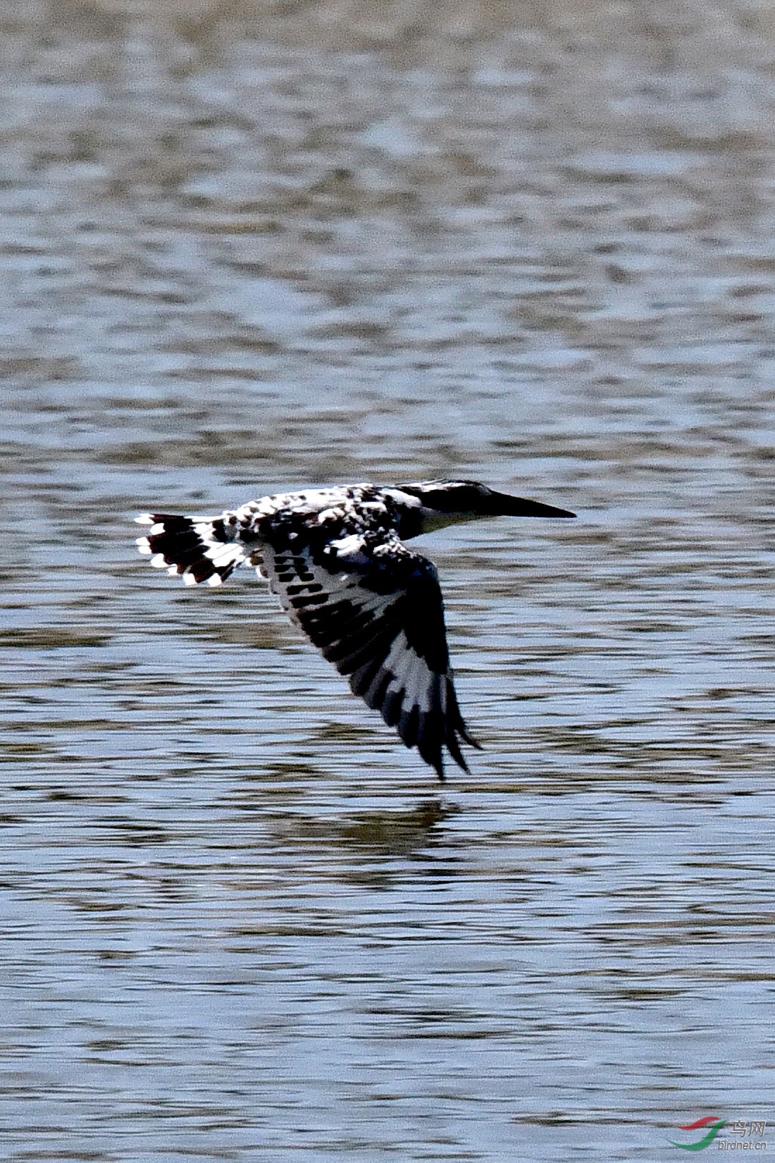 DSC_0040.JPG