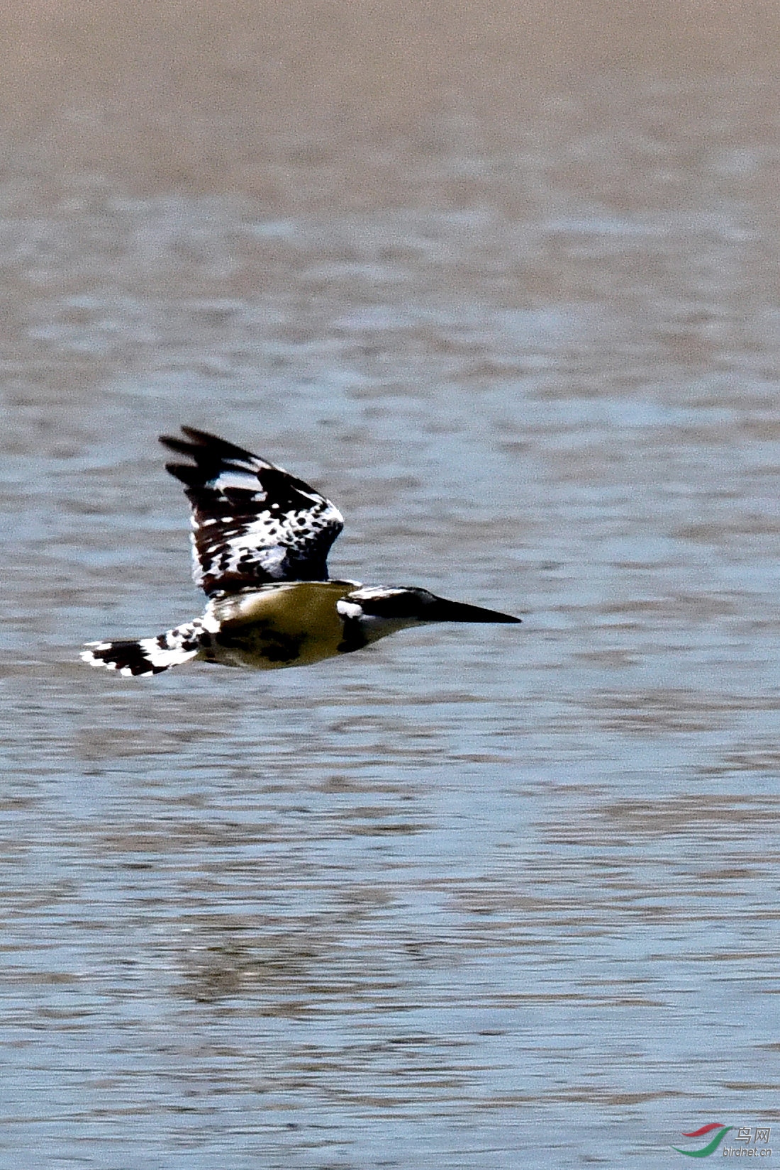 DSC_0042.JPG