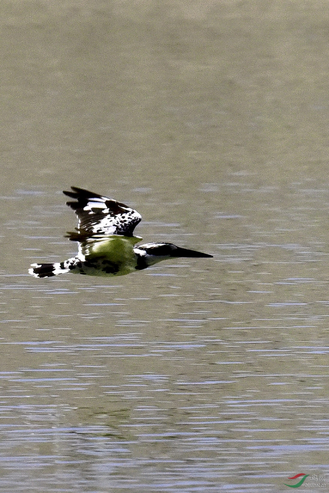 DSC_0045.JPG