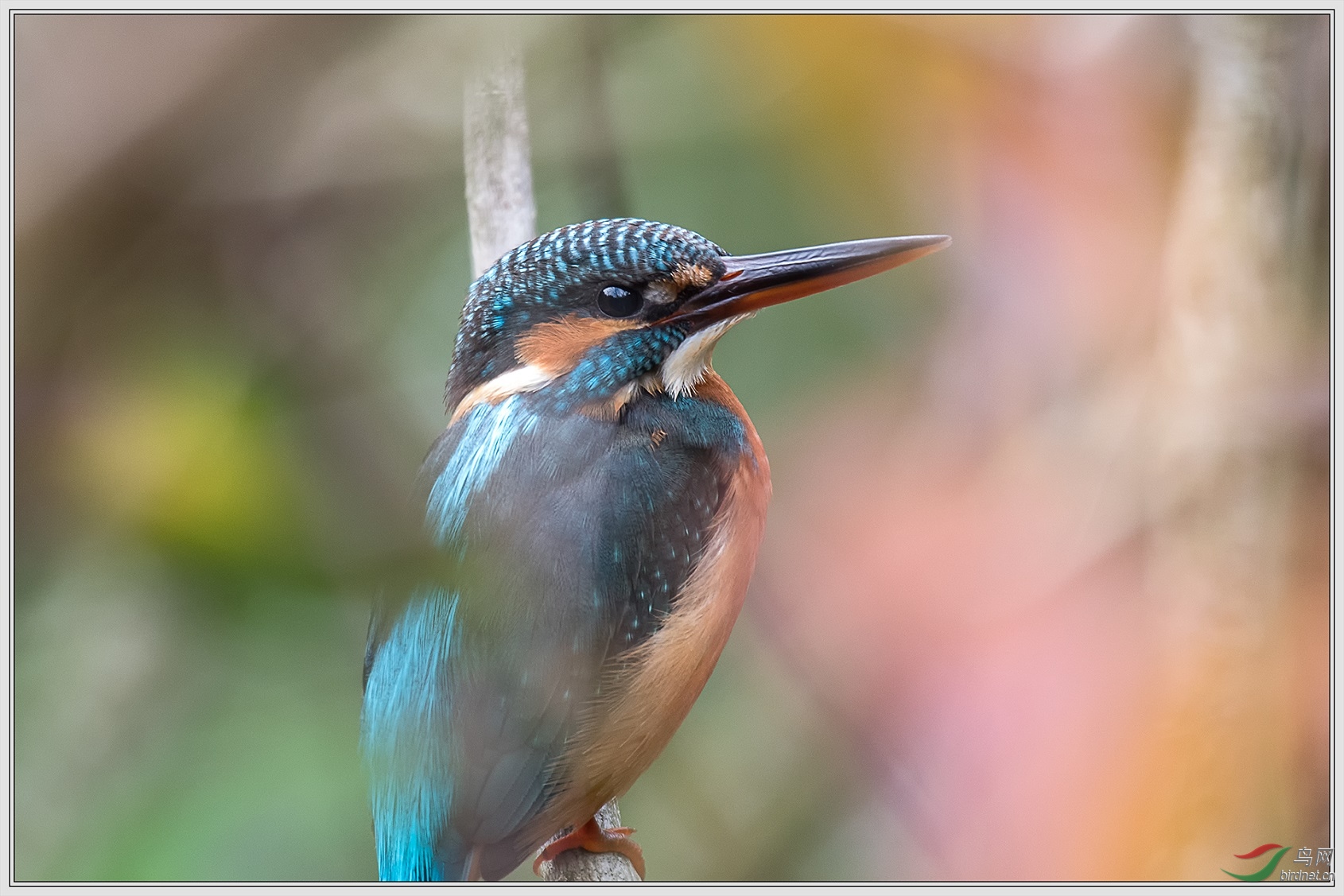 3���в��� 