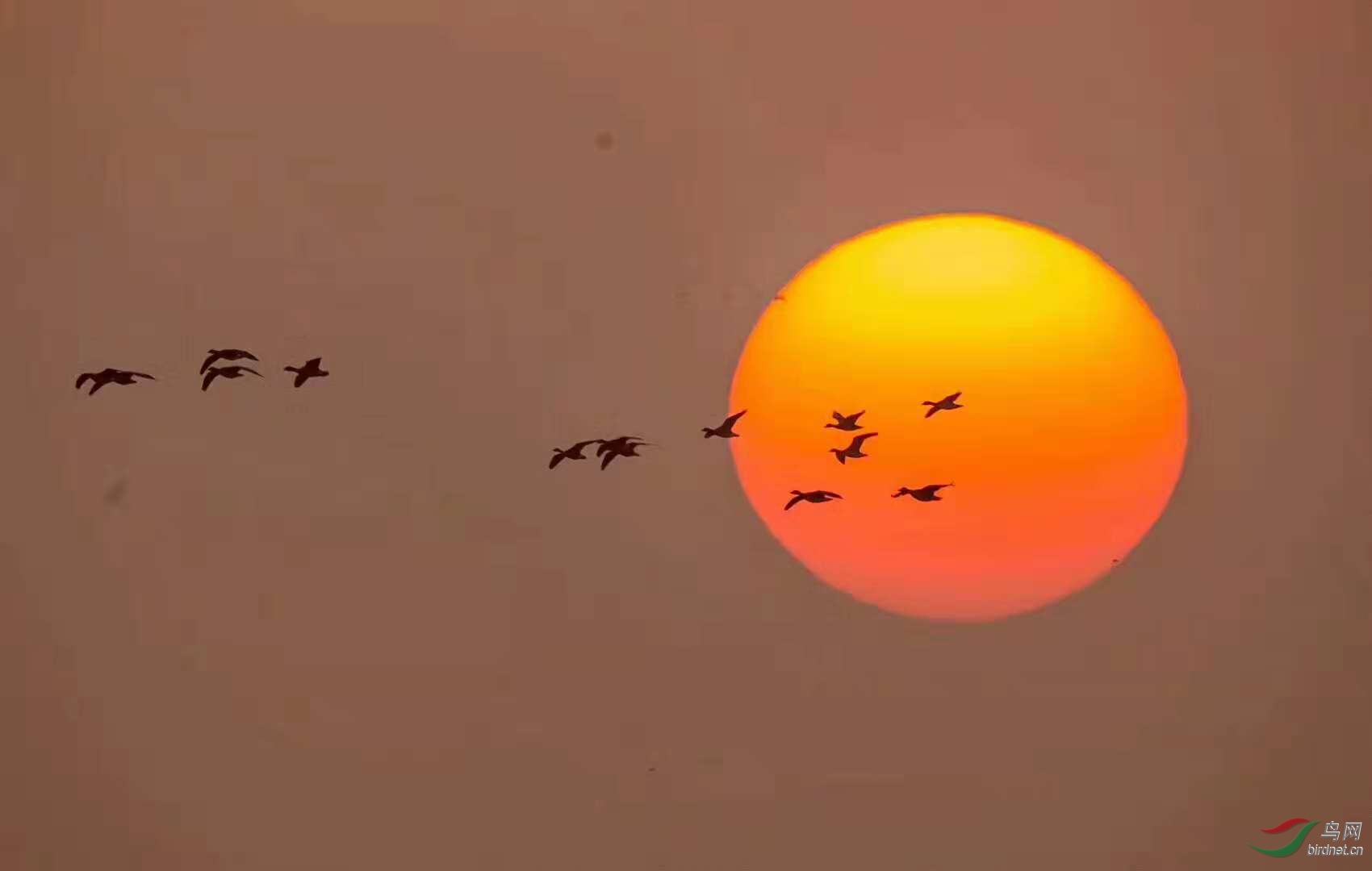 mmexport1543670389481.jpg