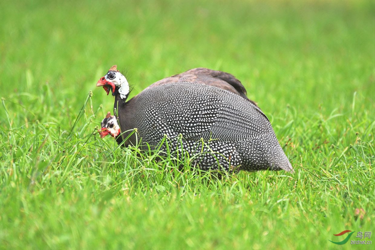DSC_2329_����.jpg