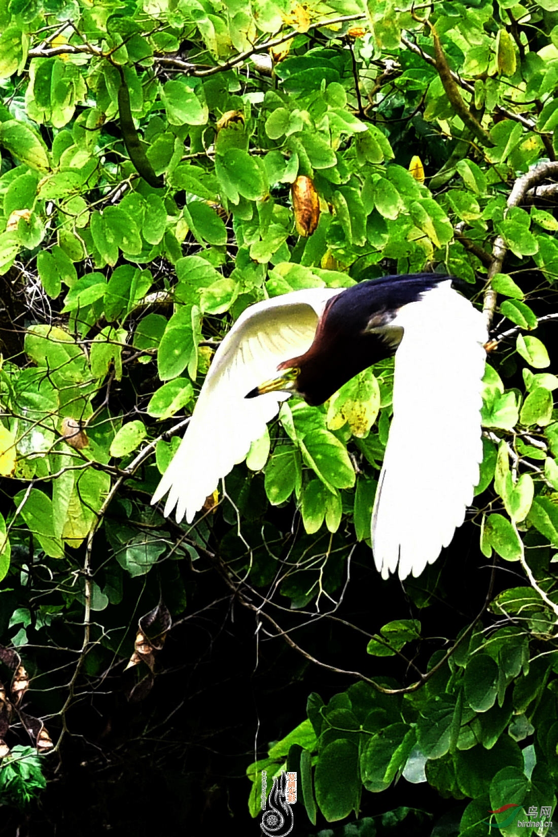 DSC_9449.JPG