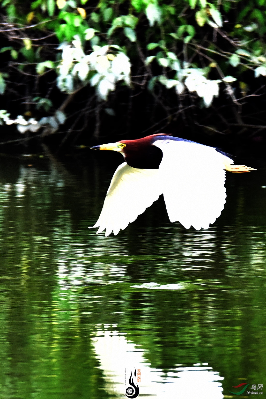 DSC_9473.JPG