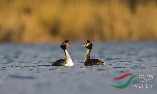 ET2W0144.jpg