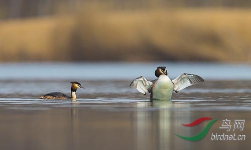 ET2W0359.jpg