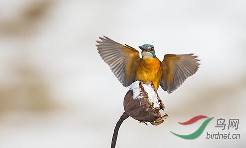 ET2W0879.jpg
