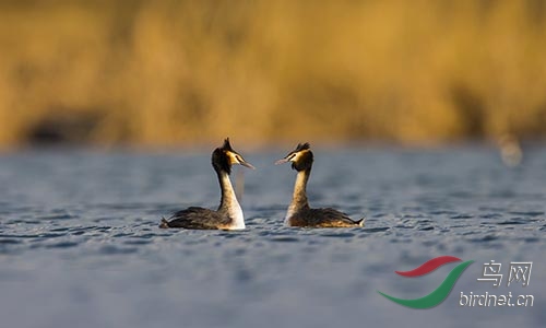 ET2W0127.jpg