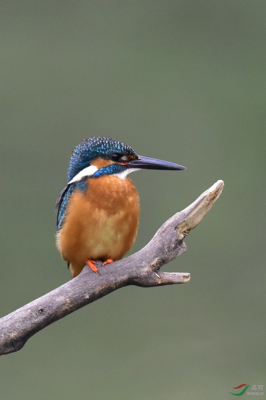 DSC_0057.JPG